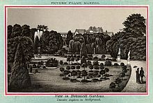 View In Botanical Gardens. Lunatic Asylum In Background.